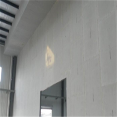剑河宁波ALC板|EPS加气板隔墙与混凝土整浇联接的实验研讨